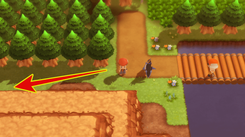 ハクタイの森の外周