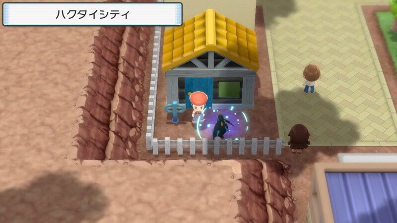 ハクタイシティ左下の民家