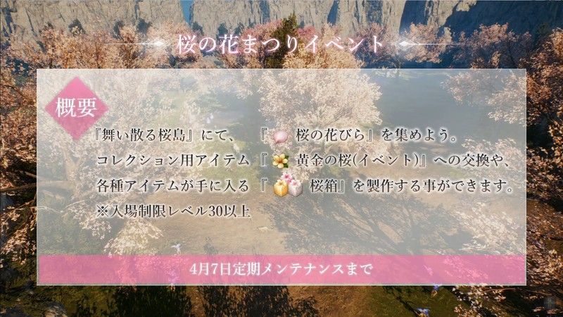 桜の花まつりイベント