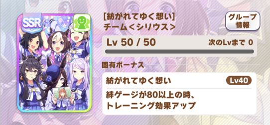 ［紡がれてゆく想い］チーム＜シリウス＞