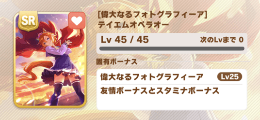 ［偉大なるフォトグラフィーア］テイエムオペラオー