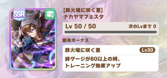 ［鉄火場に咲く菫］ナカヤマフェスタ