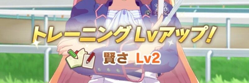 トレーニングLv