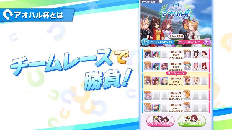 チームレースって何？