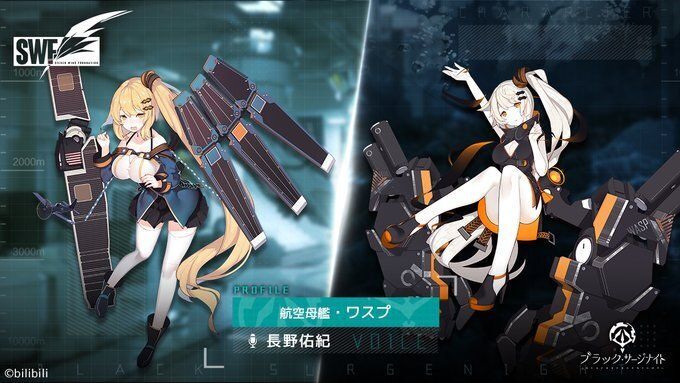 ワスプの性能詳細とプロフィール