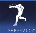 シャドーボクシング