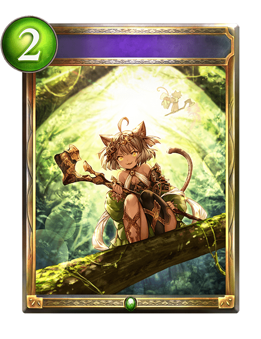 シャマのまなざし