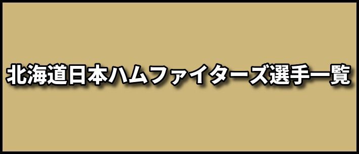 日本ハムバナー