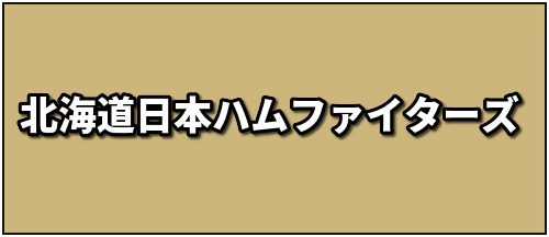 日ハム選手バナー