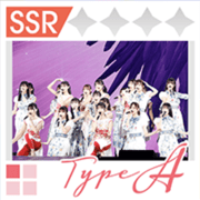 バスラコレクション(TypeA)