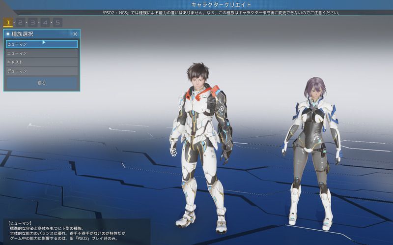Pso2ngs キャラクリのやり方とpso2との変更点 Pso2ngs攻略wiki Gamerch
