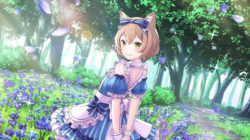 フェリス(青い花と治癒術師)