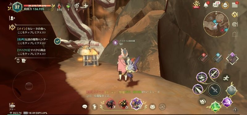 木の間に隠されたボックス