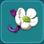 ドライアドの花