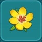 名もなき小さな花