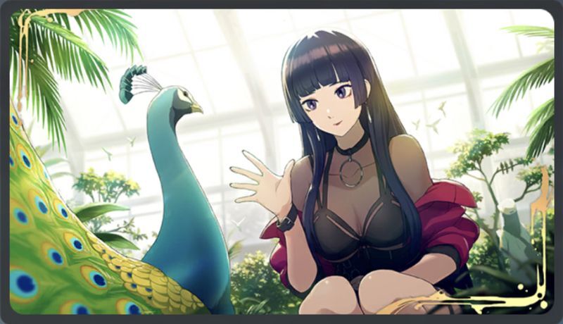 仲良しの孔雀さん