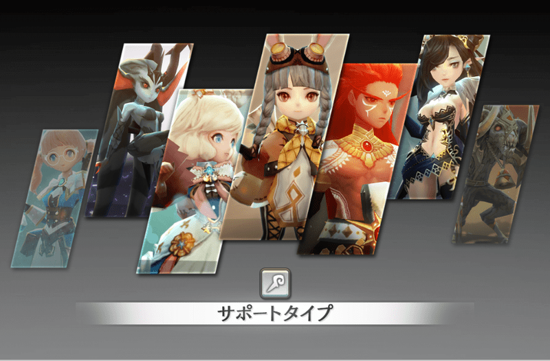 サポートタイプの画像