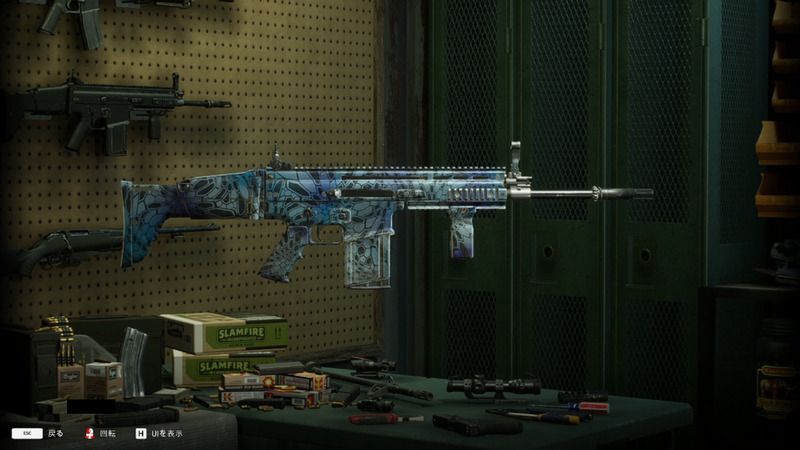 ファンシーカム