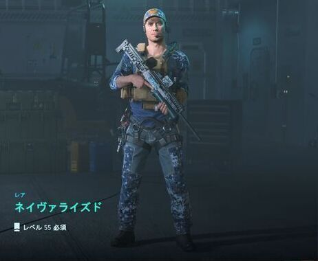 ネイヴァライズド