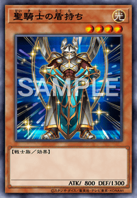 聖騎士の盾持ち