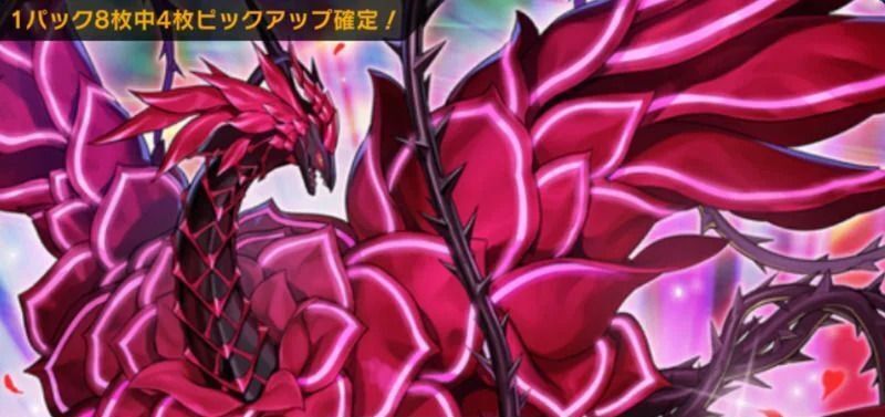 麗しき漆黒の薔薇