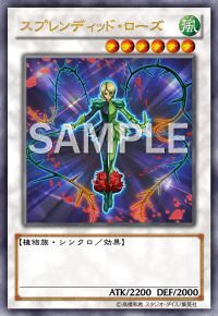 スプレンディッド・ローズ