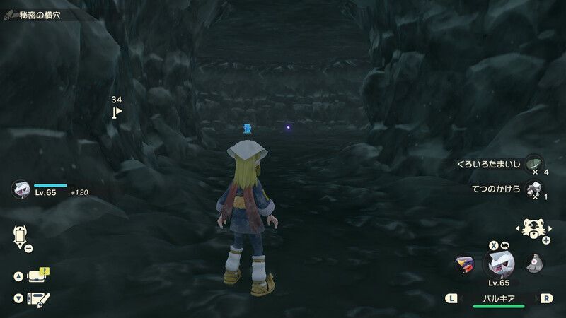 純白の凍土にある灯火⑪