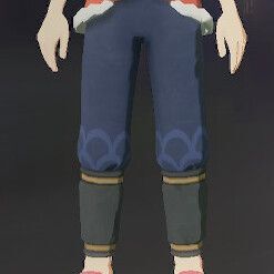 ポケモン股引りゅう