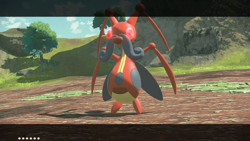 シシの高台を荒らすオヤブン