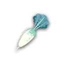 スナハマダイコン