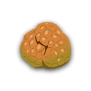 キュウショウロ