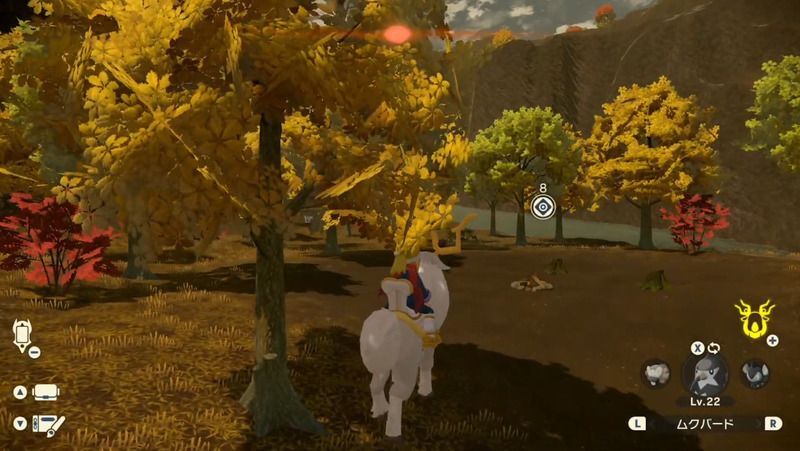 焚火の跡を見つける