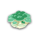 カゲブンシメジ