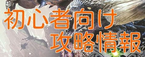 初心者向け攻略情報