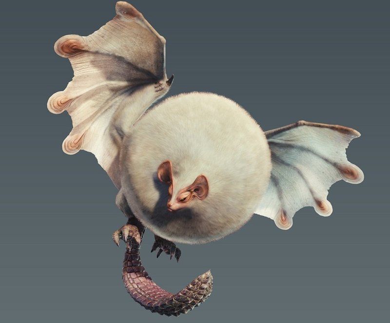 パオウルムー弱点