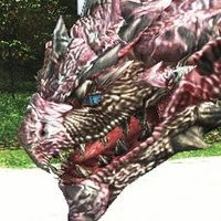 リオレイア亜種