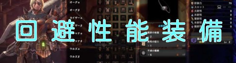 回避性能装備