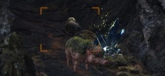 ゴワゴワクイナ