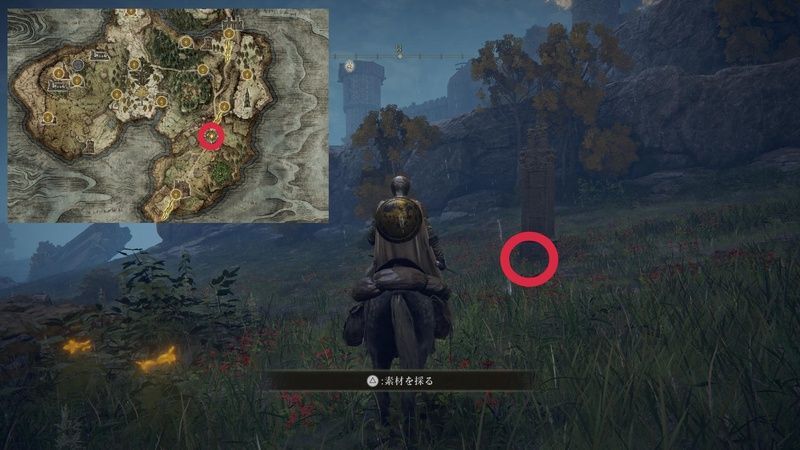 啜り泣きの半島の入手場所・マップ