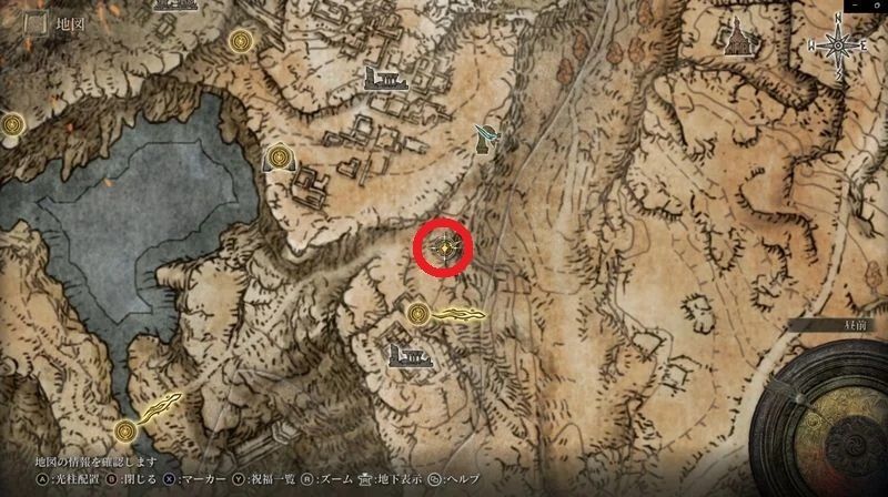 黄金樹を臨む丘