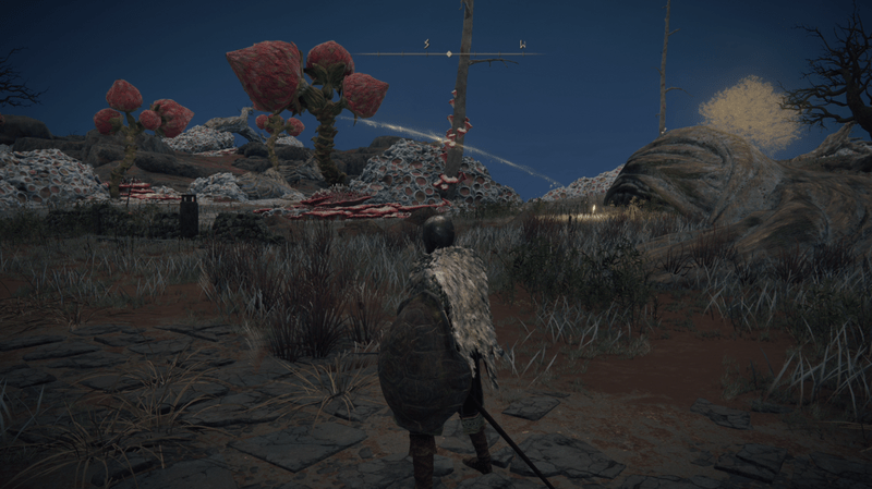 ケイリッド街道南