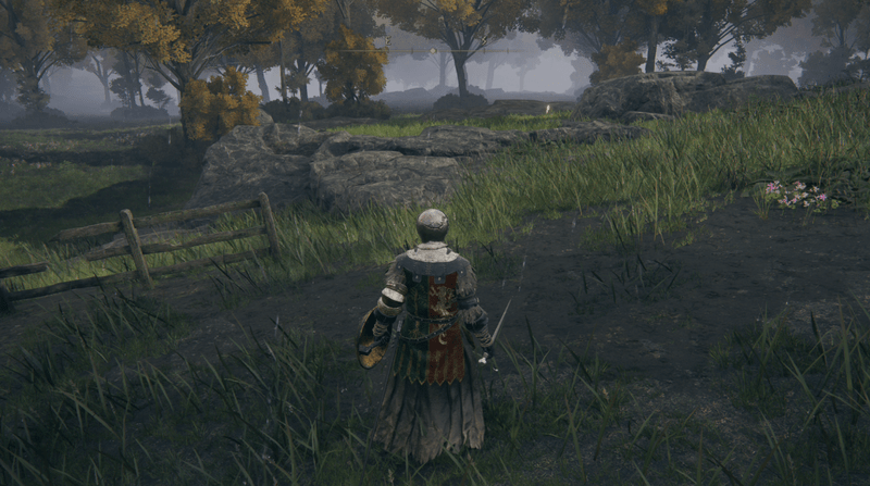 霧の森のはずれ