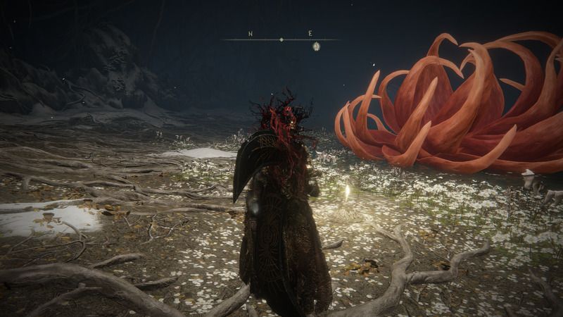 腐敗の女神、マレニア