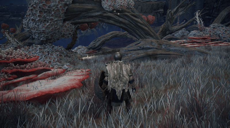 エオニア沼、南岸