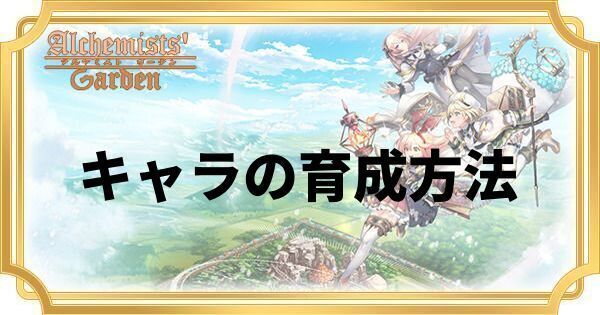 キャラの育成方法