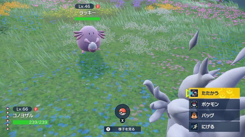 ラッキーとの戦闘画面