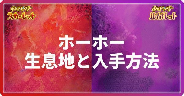 ホーホーの生息地と入手方法