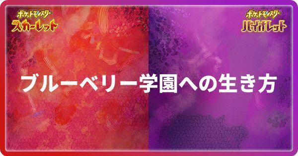 アイキャッチ画像