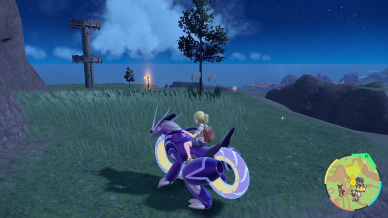 オレンジの杭がある周囲の様子6