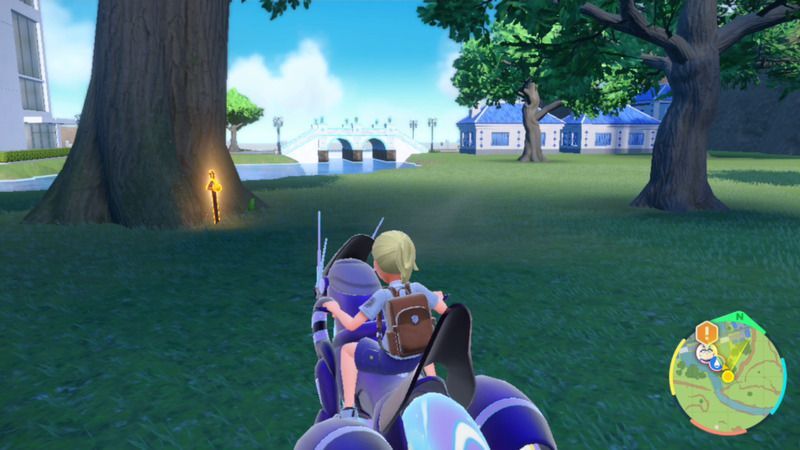 オレンジの杭がある周囲の様子8